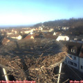 09_05-nest.jpg