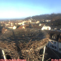 09_10-nest.jpg