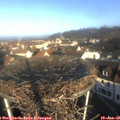 09_15-nest.jpg