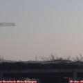 09_20-mast.jpg