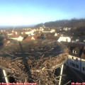 09_20-nest.jpg