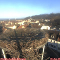 09_25-nest.jpg