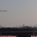09_35-mast.jpg