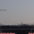 09_45-mast.jpg