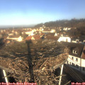 09_55-nest.jpg
