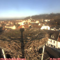 10_05-nest.jpg