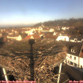 10_10-nest.jpg