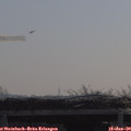 10_15-mast.jpg