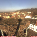 11_00-nest.jpg