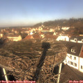 11_05-nest.jpg