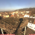 11_20-nest.jpg