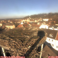 11_50-nest.jpg