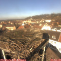 12_05-nest.jpg