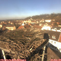 12_10-nest.jpg
