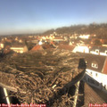 12_15-nest.jpg