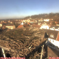 12_20-nest.jpg