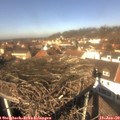 12_25-nest.jpg