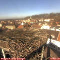 12_30-nest.jpg