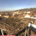 12_35-nest.jpg