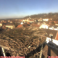 12_40-nest.jpg