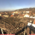 12_45-nest.jpg