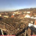 12_50-nest.jpg