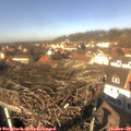 13_05-nest.jpg