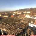 13_10-nest.jpg