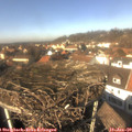 13_30-nest.jpg