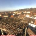 13_35-nest.jpg