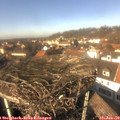 13_40-nest.jpg