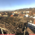 14_10-nest.jpg