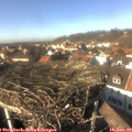 14_15-nest.jpg
