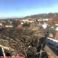 14_20-nest.jpg
