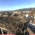 14_25-nest.jpg