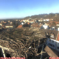 14_30-nest.jpg