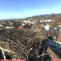 14_35-nest.jpg