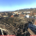 14_40-nest.jpg