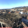 14_50-nest.jpg