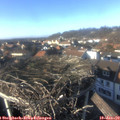 14_55-nest.jpg