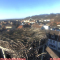 15_00-nest.jpg