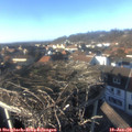 15_05-nest.jpg