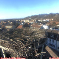 15_10-nest.jpg