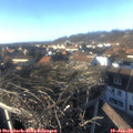 15_15-nest.jpg