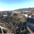 15_25-nest.jpg