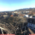 15_30-nest.jpg