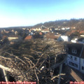 15_35-nest.jpg