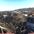 15_50-nest.jpg