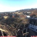16_00-nest.jpg