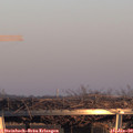 16_20-mast.jpg